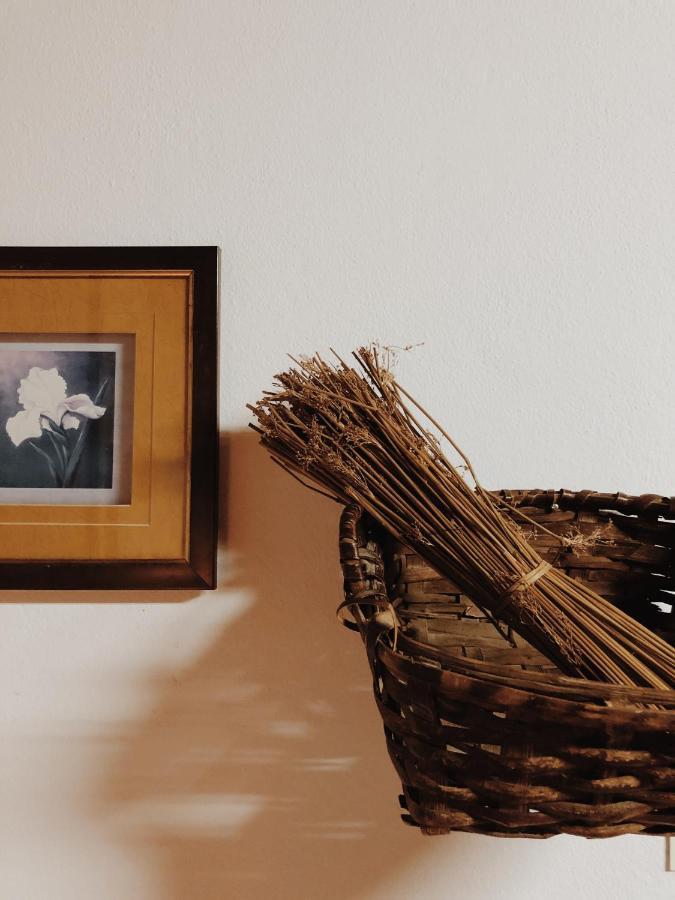 Casa Do Douro Guest House Alijo Ngoại thất bức ảnh