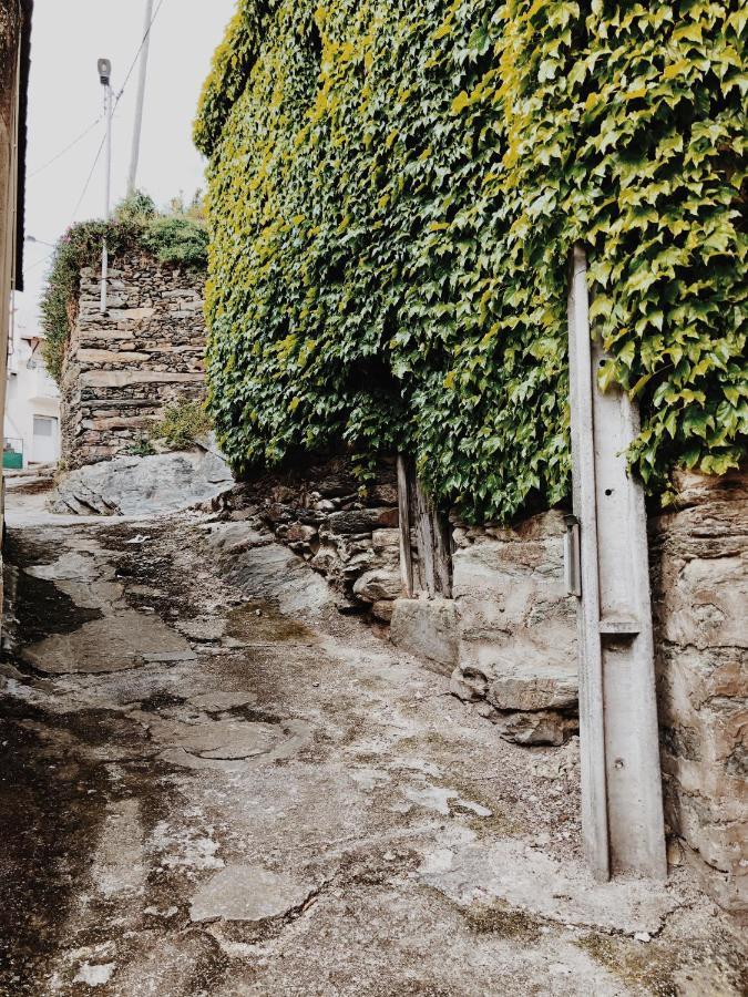 Casa Do Douro Guest House Alijo Ngoại thất bức ảnh